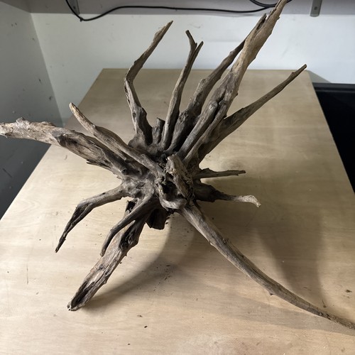 Aquarium wood fish - fish, root