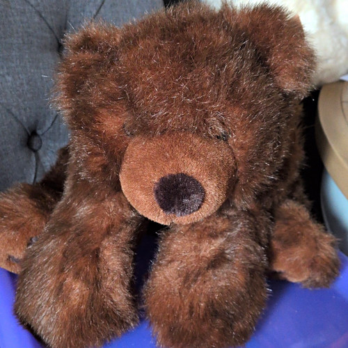Russ great grizzly bears from - bears,