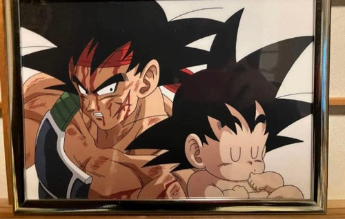 Dragon ball bardock - z,