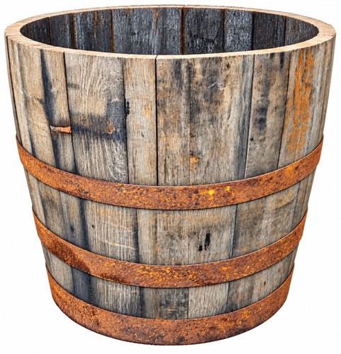 Large 52cm tall oak - 52cm,