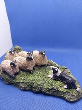  Linnet And Moss Arkengarthdale Border Collie Dog And Sheep 