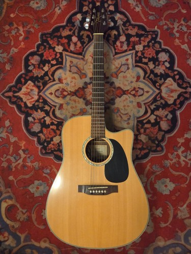 Takamine series model - model, #