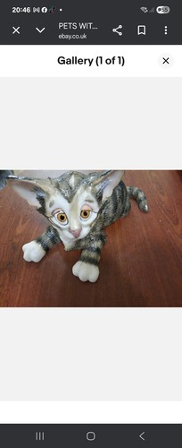 Pets with personality - pets,