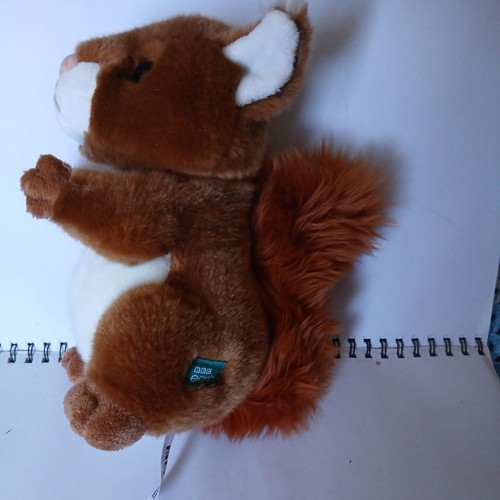 Bbc earth red squirrel - earth,