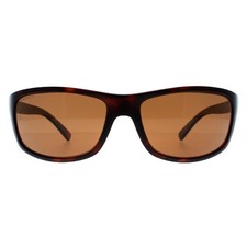 Serengeti Sunglasses Bormio