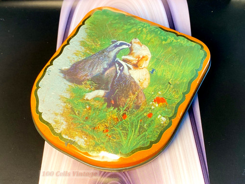 Dog with badgers orange - , edward