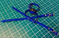 1 FERRETING COLLAR BRIGHT BLUE