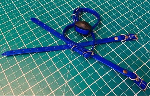 Ferreting collar bright - 1,