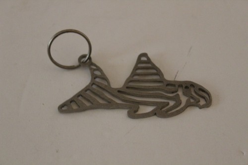 Zebra pleco key - pleco,