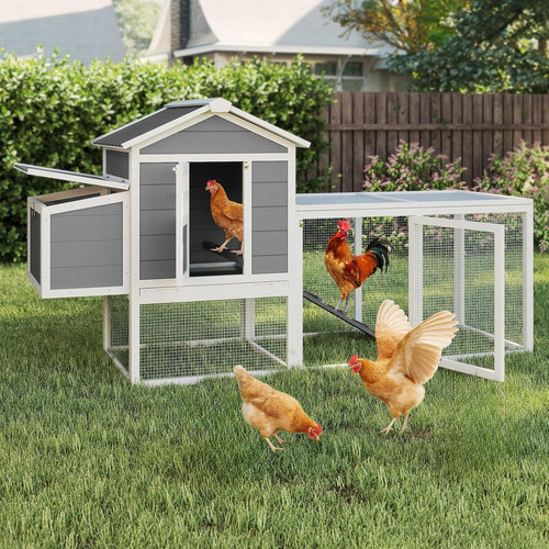 Large chicken coop outdoor - chicken,