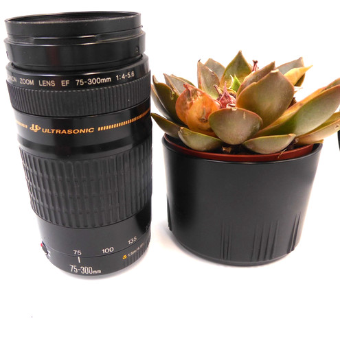 Canon 300mm 5 - canon, f/4-5.6