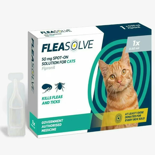 Cat flea treatment 6 - cat,