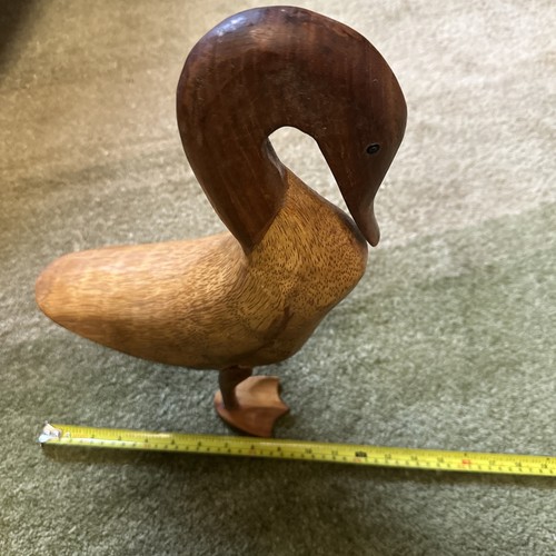 Dcuk the duck - dcuk,