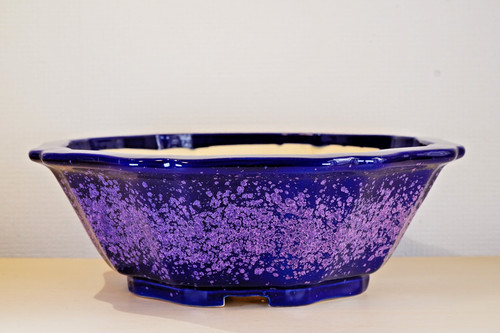 Japanese bonsai pot - japanese,