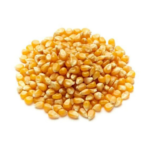 Butterfly popcorn kernels - butterfly,