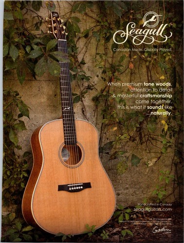 Vintage 2014 seagull guitar - vintage,