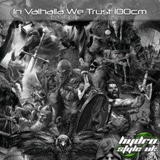 ROLLED - VIKING 100CM Hydrographics Film Hydroprinting Film