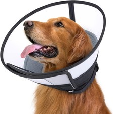 ROMANTIC BEAR Dog Cone Collar