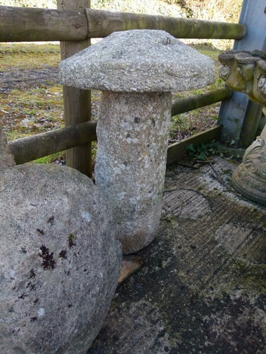 Lovely large cornish - large,