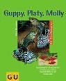 Guppy platy molly - guppy,, andere