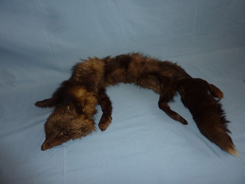 Fox fur stole - scarf, with