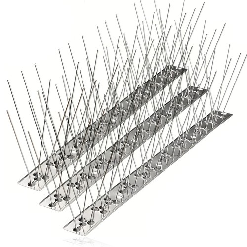 Bird fence spikes - bird, pigeon