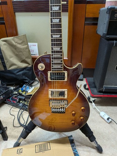 Epiphone les paul - epiphone, pro