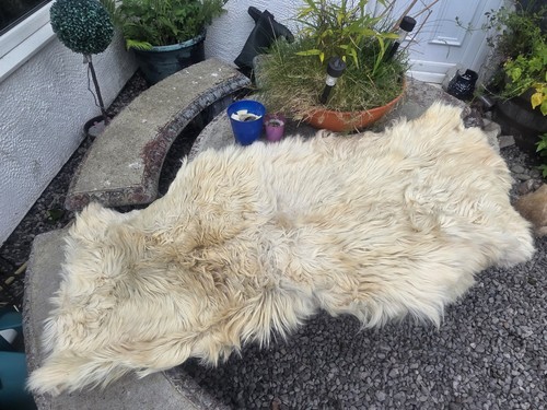 Goat skin rug genuine - goat, rug.