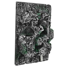  Reptile Background for