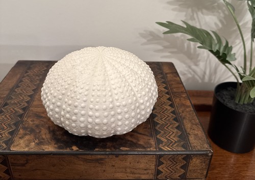 Sea urchin nautical decor - urchin,