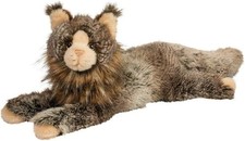 Douglas Oscar Maine Coon Cat