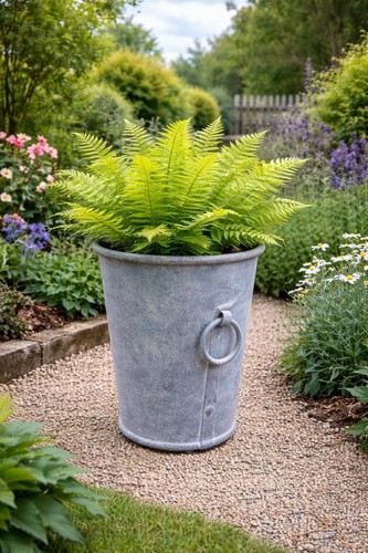 Galvanised planter zinc - planter,