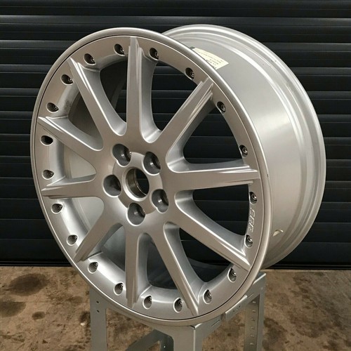 Genuine jaguar type - genuine, x