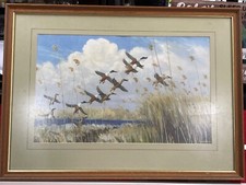 Peter Scott “Ducks Taking to Wind” 1934 Print Mounted & Framed