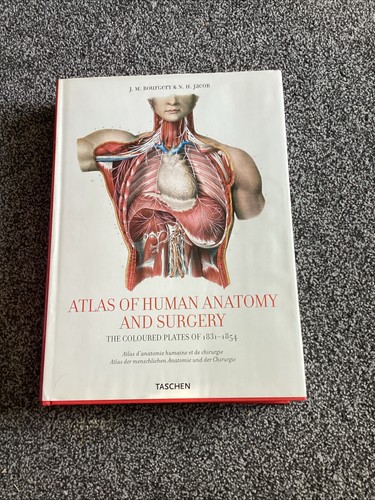 Atlas human anatomy and - human,
