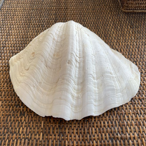 Beautiful vintage large - beautiful,
