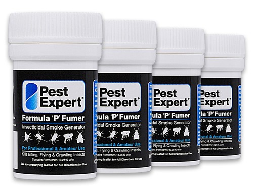 Pest expert spider killer - expert,