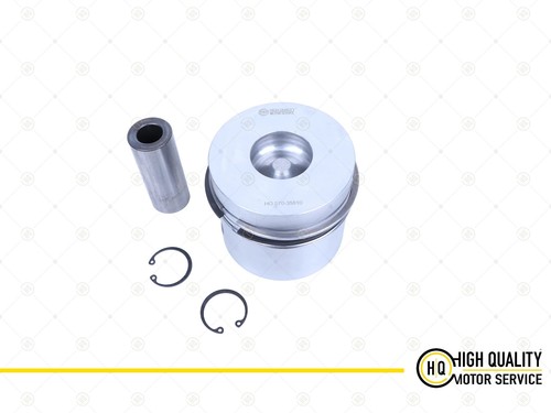 Piston with ring std for - with,