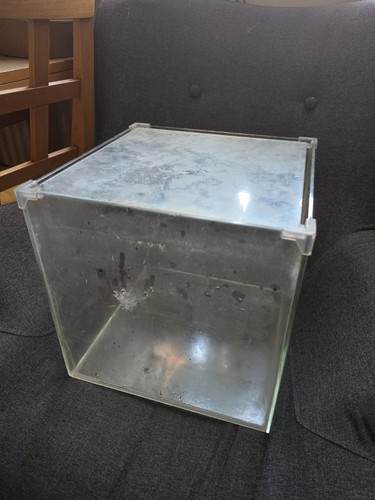 Inch cube fish tank - fish,