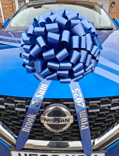Giant prom bow large - giant,