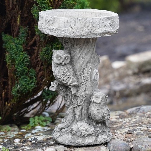 Owl bird bath garden statue - bird,