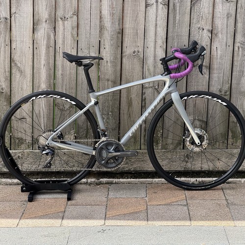 Specialized ruby disc full - ruby,
