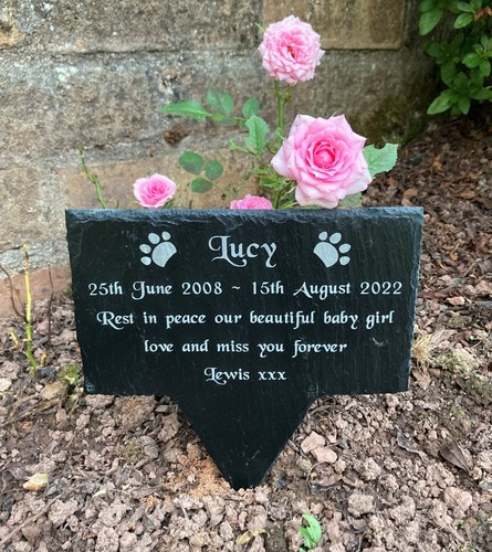 Personalised engraved pet - personalised,