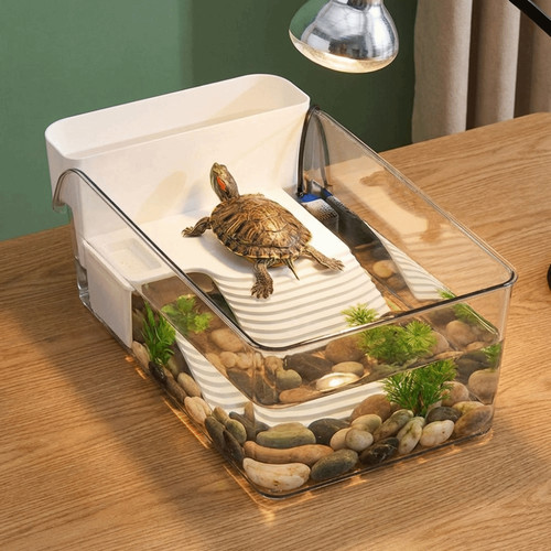 Transparent reptile turtle - transparent,