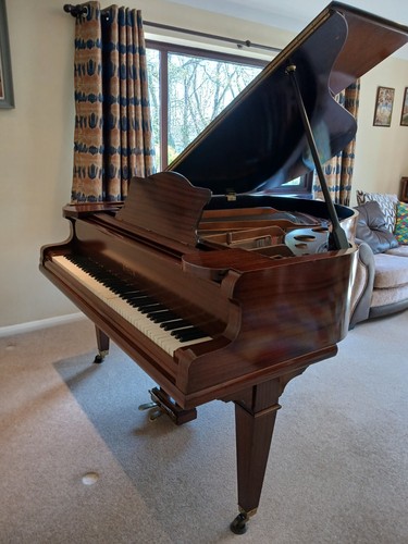 Baby grand piano steck - -,
