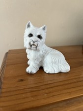 West Highland Terrier Regency