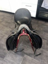 Title:Springtree 17”