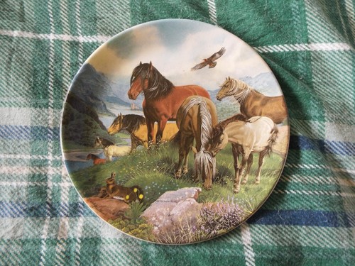 Davenport highland ponies - davenport,