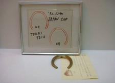 Tokai Teio Actual Horseshoe