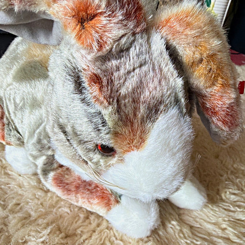 Beanie babies meadow rabbit - ty,